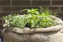 билкова идеи
