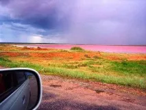 Рожеве озеро на Алтаї озера