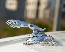 jaguar jaguar