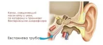 Шум і брязкіт у вусі після застуди - що робити і чому погіршується слух після застуди після