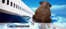 това което силата