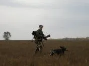 блатен дивеч насочено