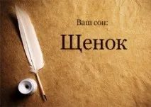 Сонник щеня до чого сниться Щеня новонароджене жінці на руках чорний або білий бачити уві сні щеня