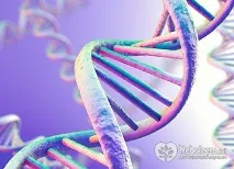 Синдактилія - причини, операція, реабілітація пальців