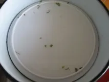 капусту