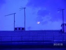 поезія