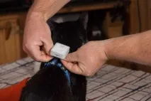 териториално където