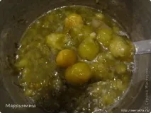 Ткемалі з аличі ткемалі
