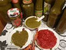 Ткемалі з аличі ткемалі