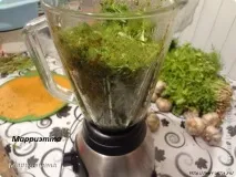 Ткемалі з аличі ткемалі