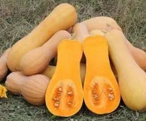 орехче орехче