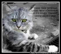 Текст пісні Ти знаєш, як хочеться жити - Кабріолет читати слова пісні, кабріолет ти знаєш як пісні