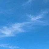 статии статии