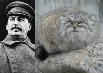 блогове блогове