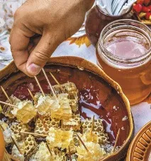 Висип медовий та весільний Ірина