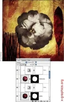 photoshop photoshop