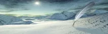 след смъртта теми