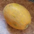мюсюлмани търсене