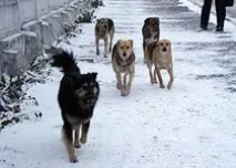една една
