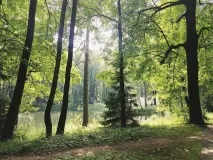 Весільний день очима організатора очима