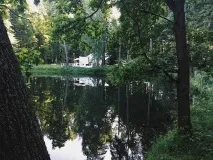 Весільний день очима організатора весільний
