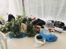Весільний день очима організатора очима