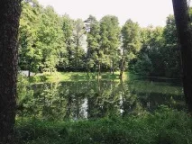 Весільний день очима організатора весільний