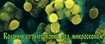 Стрептодермія на шкірі обличчя у дітей шкірі