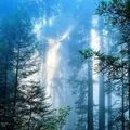 Тканина () 5 букв - пошук слів за маскою та визначенням, відповіді на сканворди слів