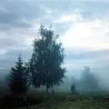 Тканина () 5 букв - пошук слів за маскою та визначенням, відповіді на сканворди тканина