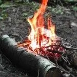 пожари дядо