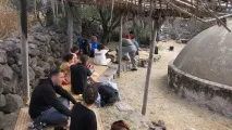 вамонос мексиканска