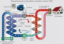 знаете frenette