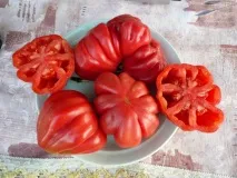 сортове сортове