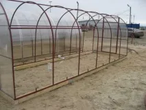 теплиця