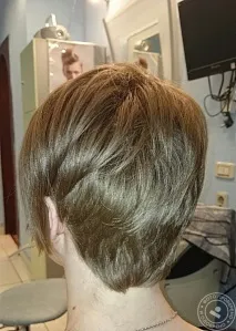 конв Цени конв Цени