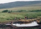 геоложки геоложки