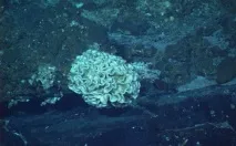 Дивовижна Маріанська западина фото найглибших місць на землі фото