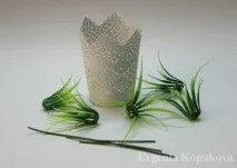 бързо лесно цветя