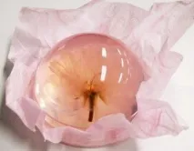 японски удивителни