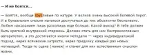 лидерът винаги лидерът винаги