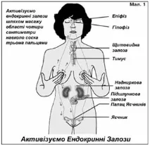упражнение система