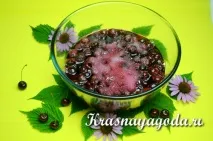 половин литрови череши