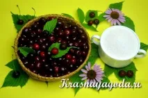 половин литрови половин литрови