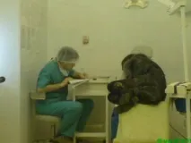 Витверезник однієї міської лікарні (24 фото) за 03 лютого 2012 витверезник