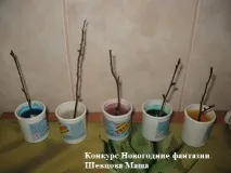развитие дома