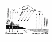 Водень у природі (0,9% у Земній корі) корі