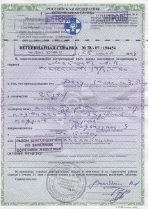 изложби ветеринарен