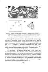 отличителна нефт