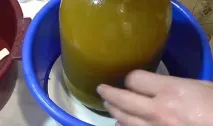зиму
